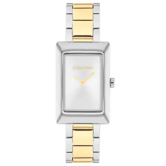 Calvin Klein CK Styled CK25200420 kol saati
