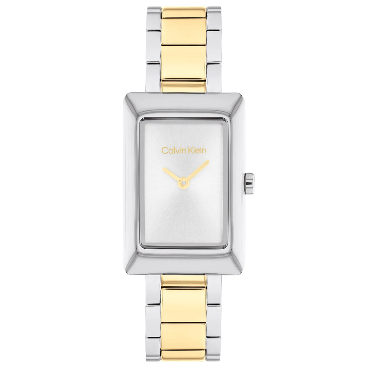 Calvin Klein CK Styled CK25200420 22 mm kol saati