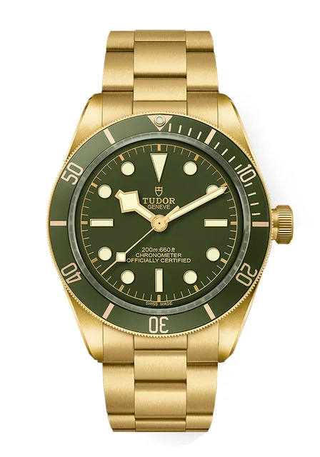Tudor Black Bay 302185 kol saati