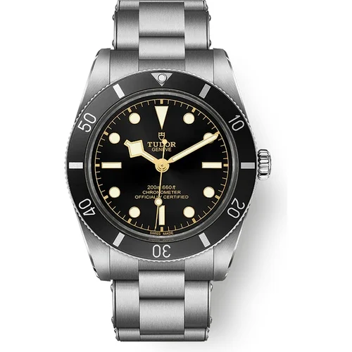 Tudor Black Bay 54 M79000N-0001 kol saati