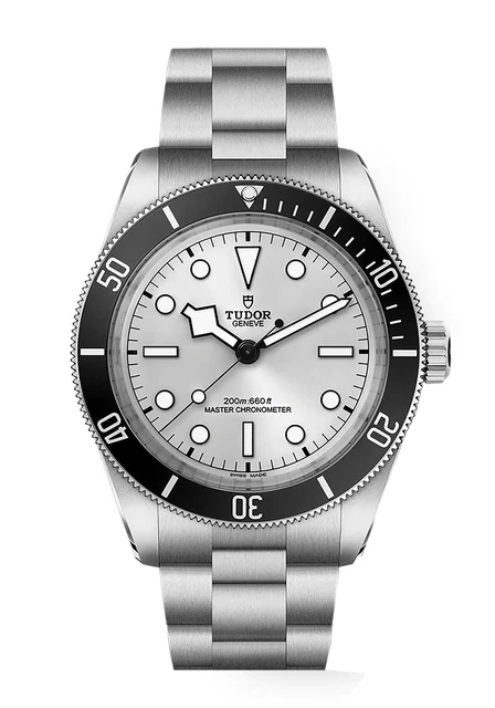 Tudor Black Bay 301751 kol saati