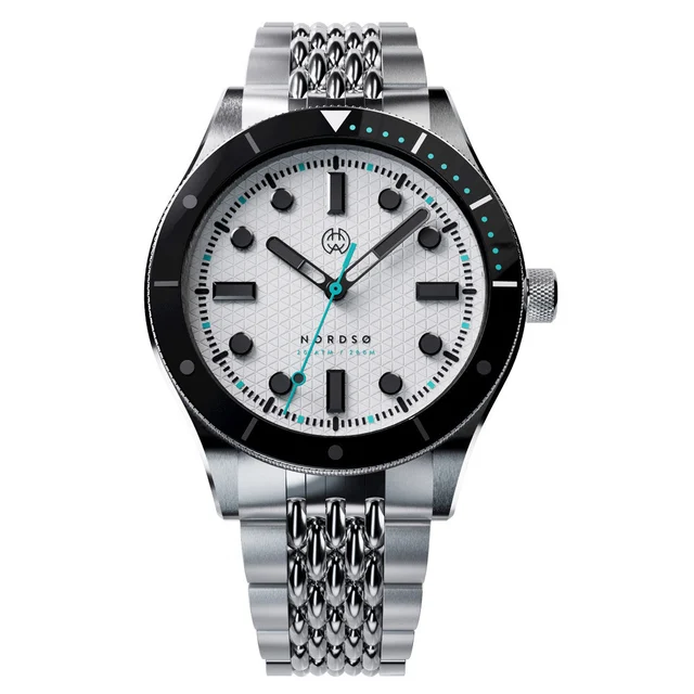 Henry Archer Nordso Automatic Dive Watch with Polar Dial #HAC-NOR-POL-BOR kol saati