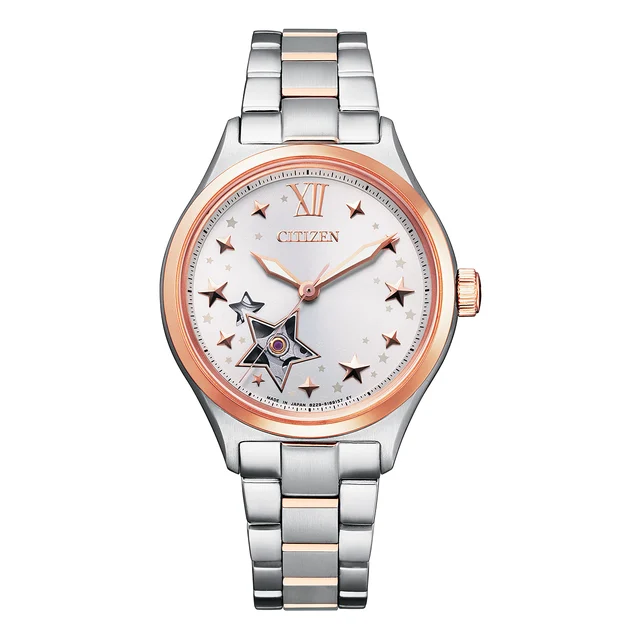 Citizen Citizen PC1009-78B kol saati