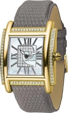 Pierre Cardin 100542F03 kol saati
