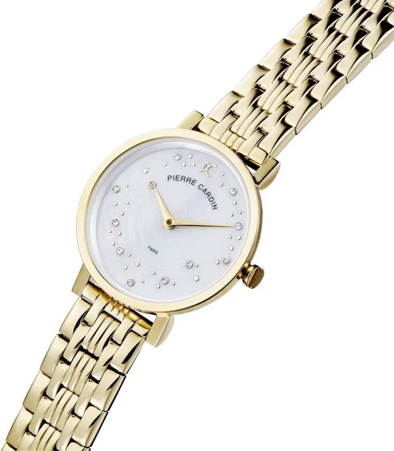 Pierre Cardin CCM.0546 kol saati