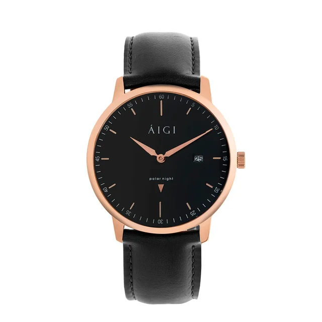 AIGI Watches AIGI Watches PN40SS kol saati