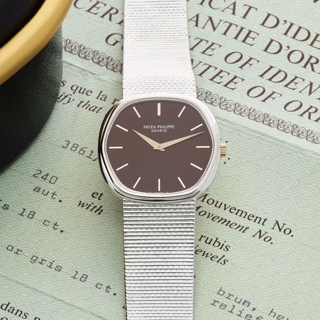 Patek Philippe PATEK PHILIPPE REF. 3861 WHITE GOLD kol saati