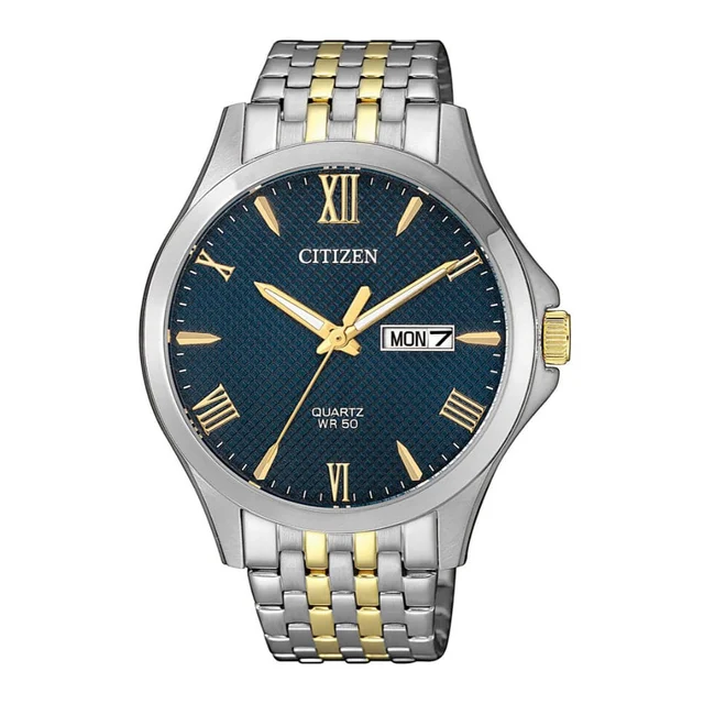 Citizen Citizen BF2024-50L kol saati
