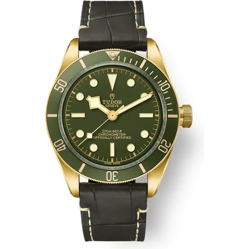 Tudor Black Bay 58 18K M79018V-0001 39 mm kol saati