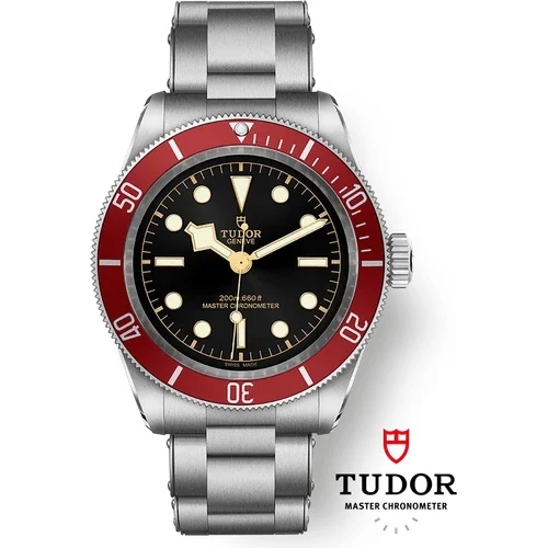 Tudor Black Bay M7941A1A0RU-0001 kol saati