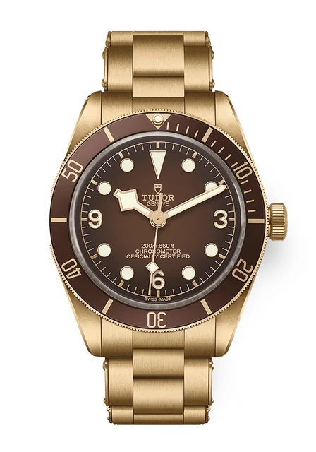 Tudor Black Bay 302000 kol saati