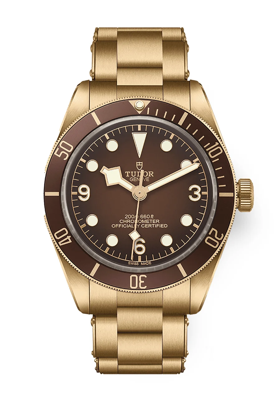 Tudor Black Bay 302000 39 mm kol saati