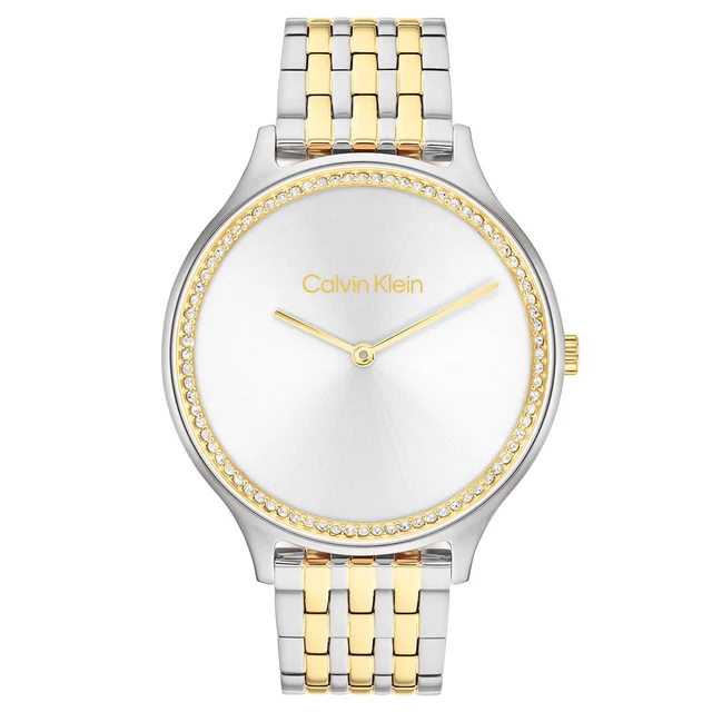 Calvin Klein CK Timeless CK25100002 kol saati