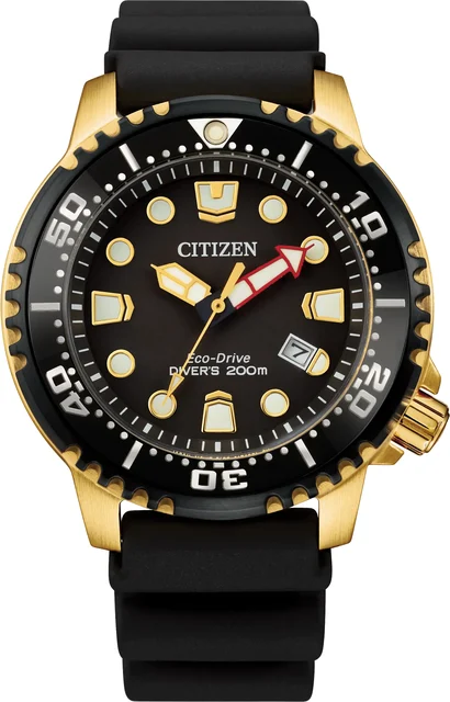 Citizen Promaster Dive BN0152-06E kol saati