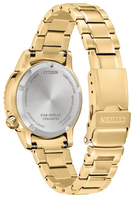Citizen Promaster Dive EO2029-54A kol saati