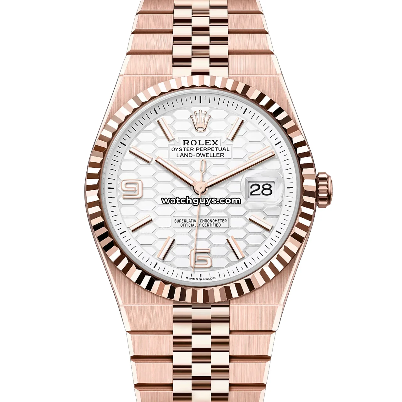 Rolex Land-Dweller C101 40 mm kol saati