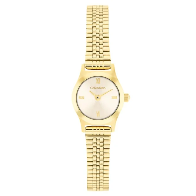 Calvin Klein CK Contemporary CK25100201 kol saati