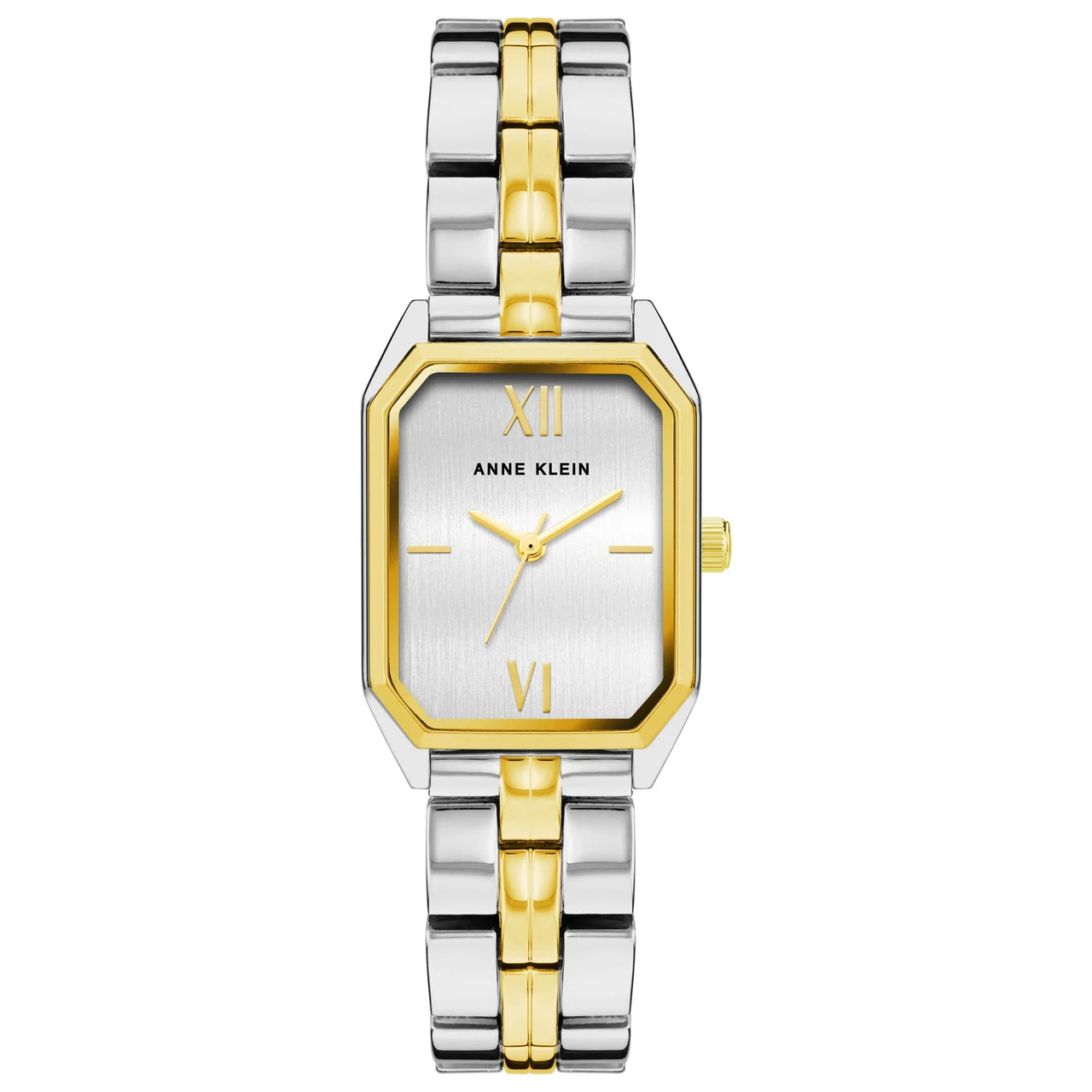Anne Klein Watch AK-3775SVTT kol saati