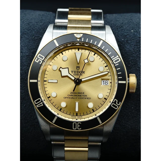 Tudor Black Bay Steel & Gold 79733N 210000023409 kol saati