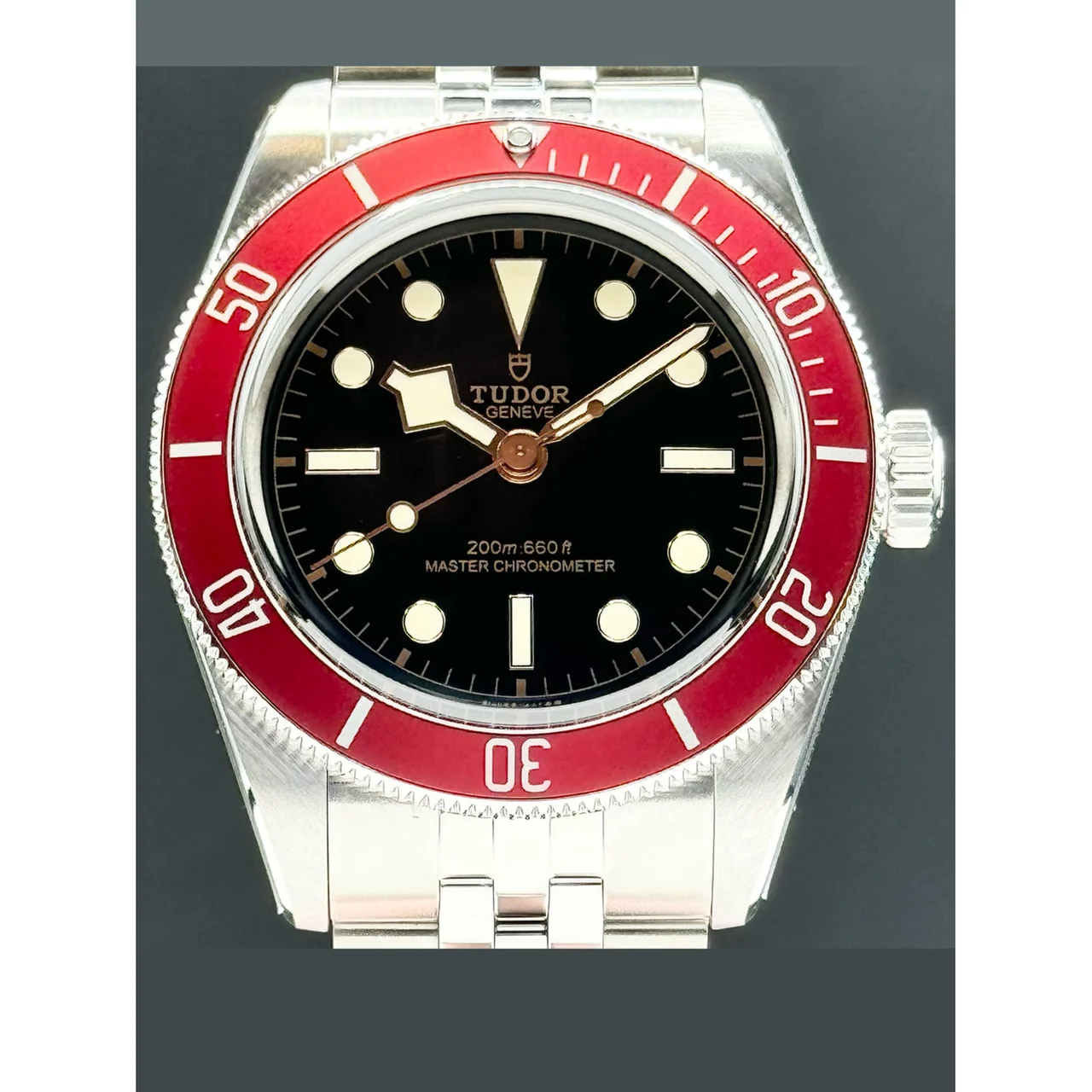 Tudor Black Bay 41mm Burgundy 210000078515 41 mm kol saati