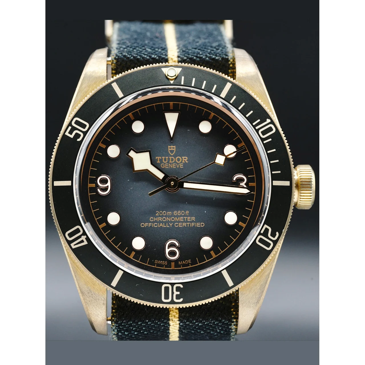 Tudor Bronze 210000054089 43 mm kol saati