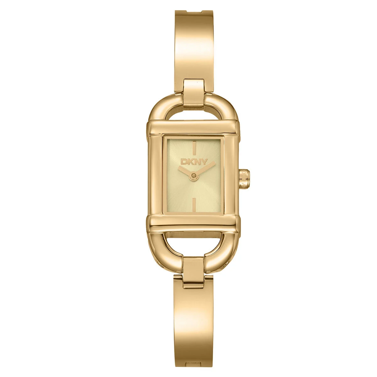 DKNY DK1L179M0235 18 mm kol saati