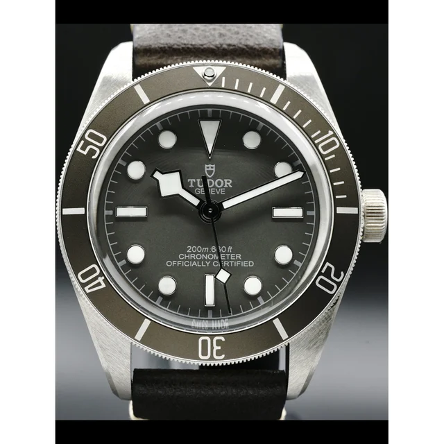 Tudor Black Bay Fifty-Eight 79010SG 210000026921 kol saati