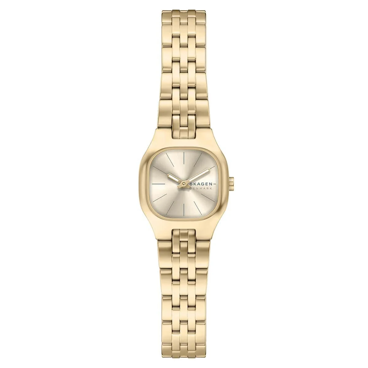 Skagen SKW3177 22 mm kol saati