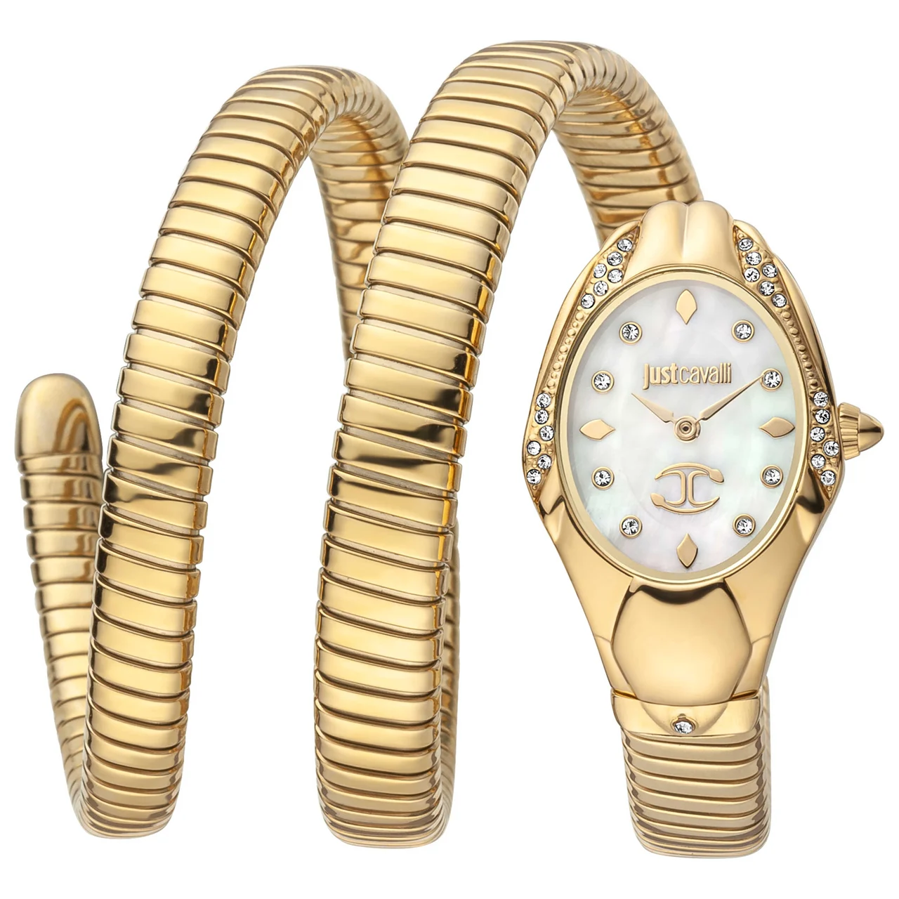 Just Cavalli Watch JC1L185M0015 kol saati