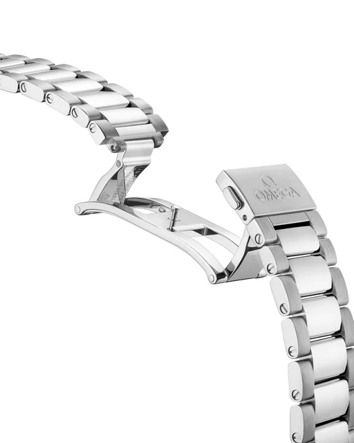 OMEGA Seamaster Aqua Terra 150M 220.10.41.21.01.001 kol saati