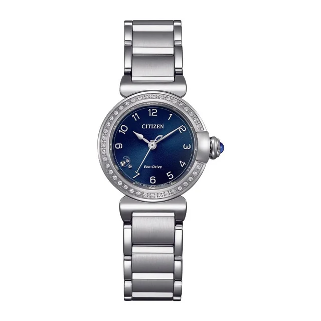 Citizen Promaster EM1120-87L kol saati
