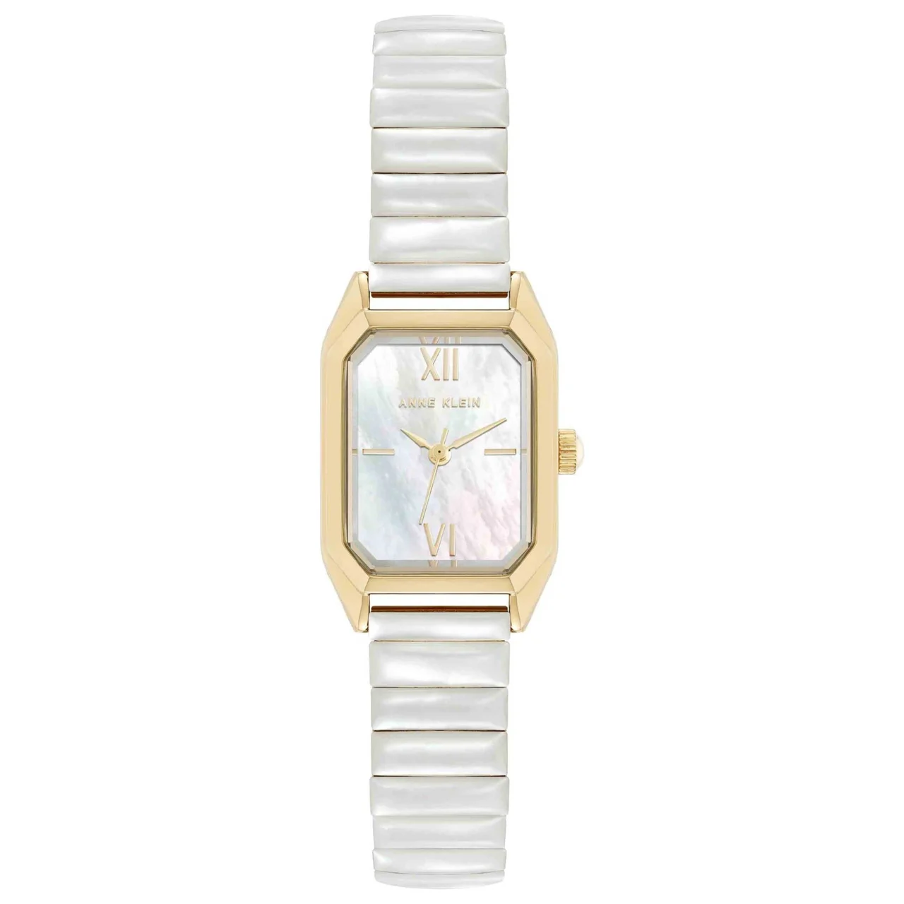 Anne Klein Classic Watch AK-5364MPGB kol saati
