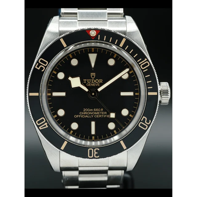 Tudor Black on Bracelet 79030N 210000025604 kol saati