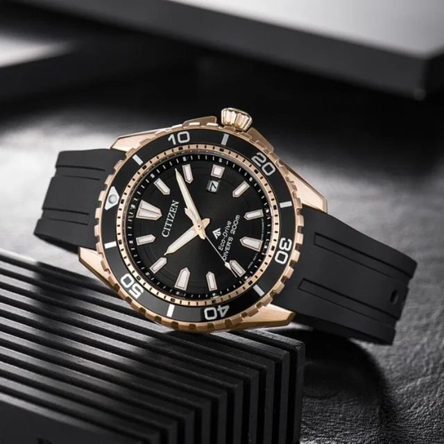 Citizen Promaster BN0193-17E kol saati
