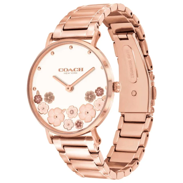 Coach Perry Watch 14503768 kol saati