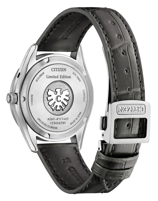 Citizen The AQ4100-22A kol saati