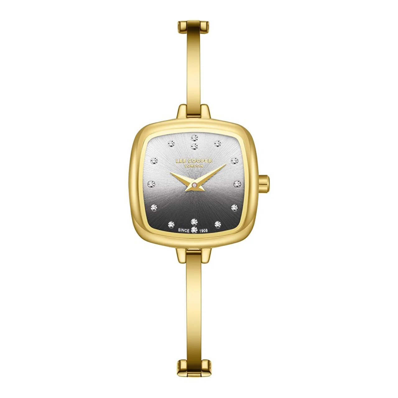LEE COOPER LC08353.140 24 mm kol saati