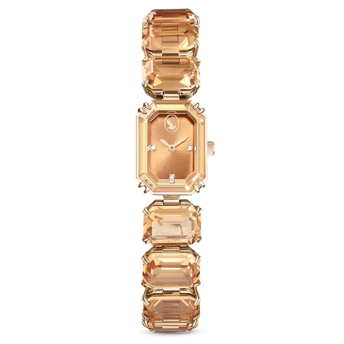 Swarovski SWR5729841 23 mm kol saati