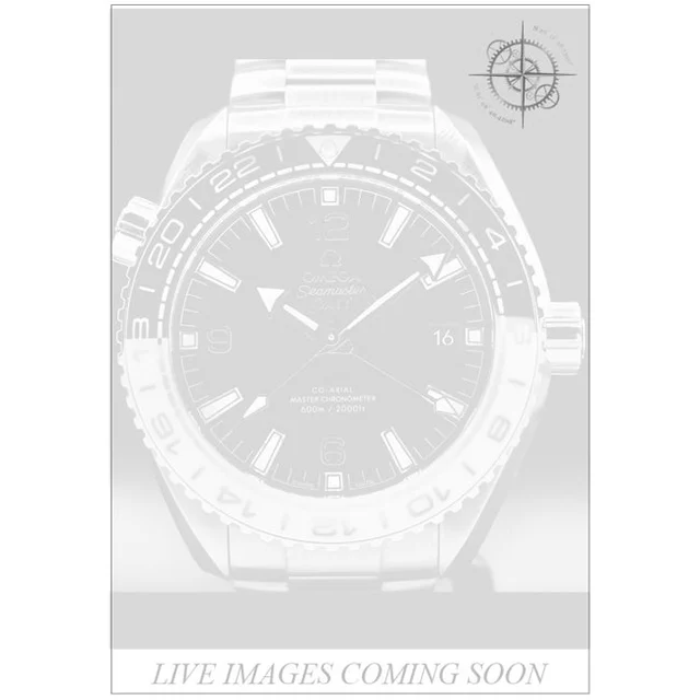 OMEGA Planet Ocean 600M Co-Axial Master Chronometer GMT on Bracelet 210000039738 kol saati