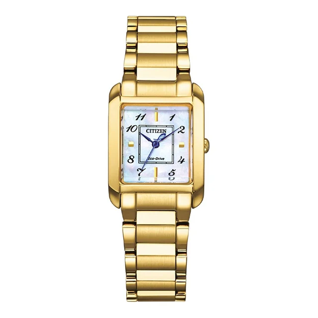 Citizen Citizen Eco-Drive EW5602-81D kol saati