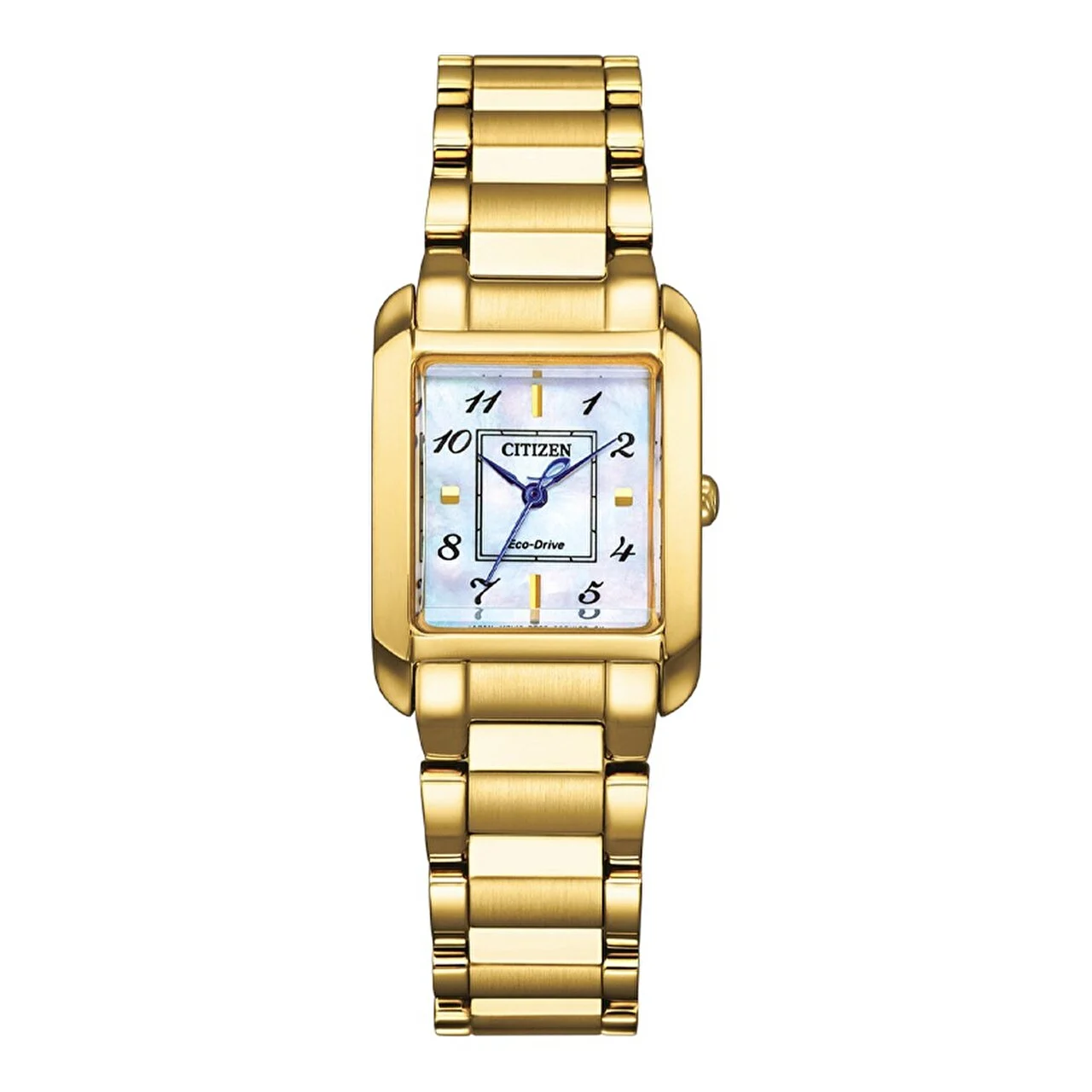 Citizen Citizen Eco-Drive EW5602-81D 21.5 mm kol saati