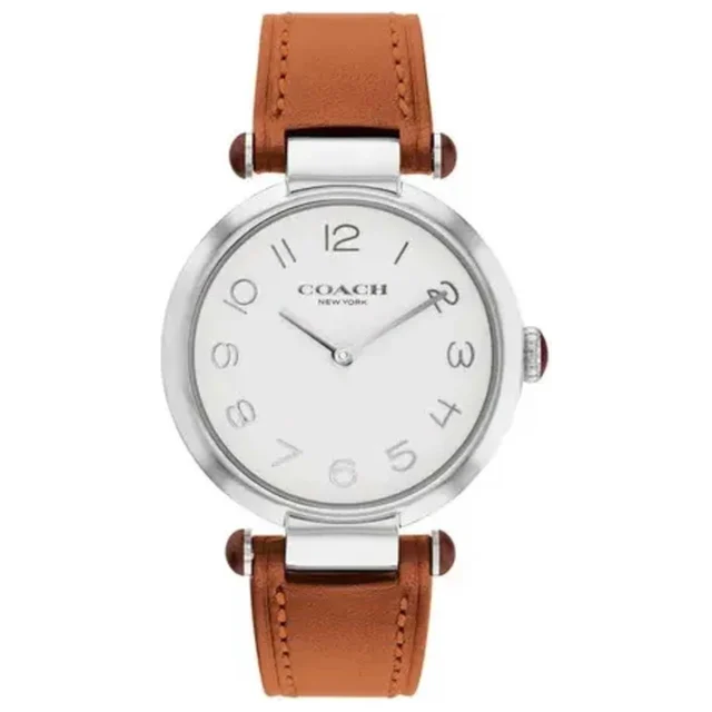 Coach Cary Watch 14504000 kol saati