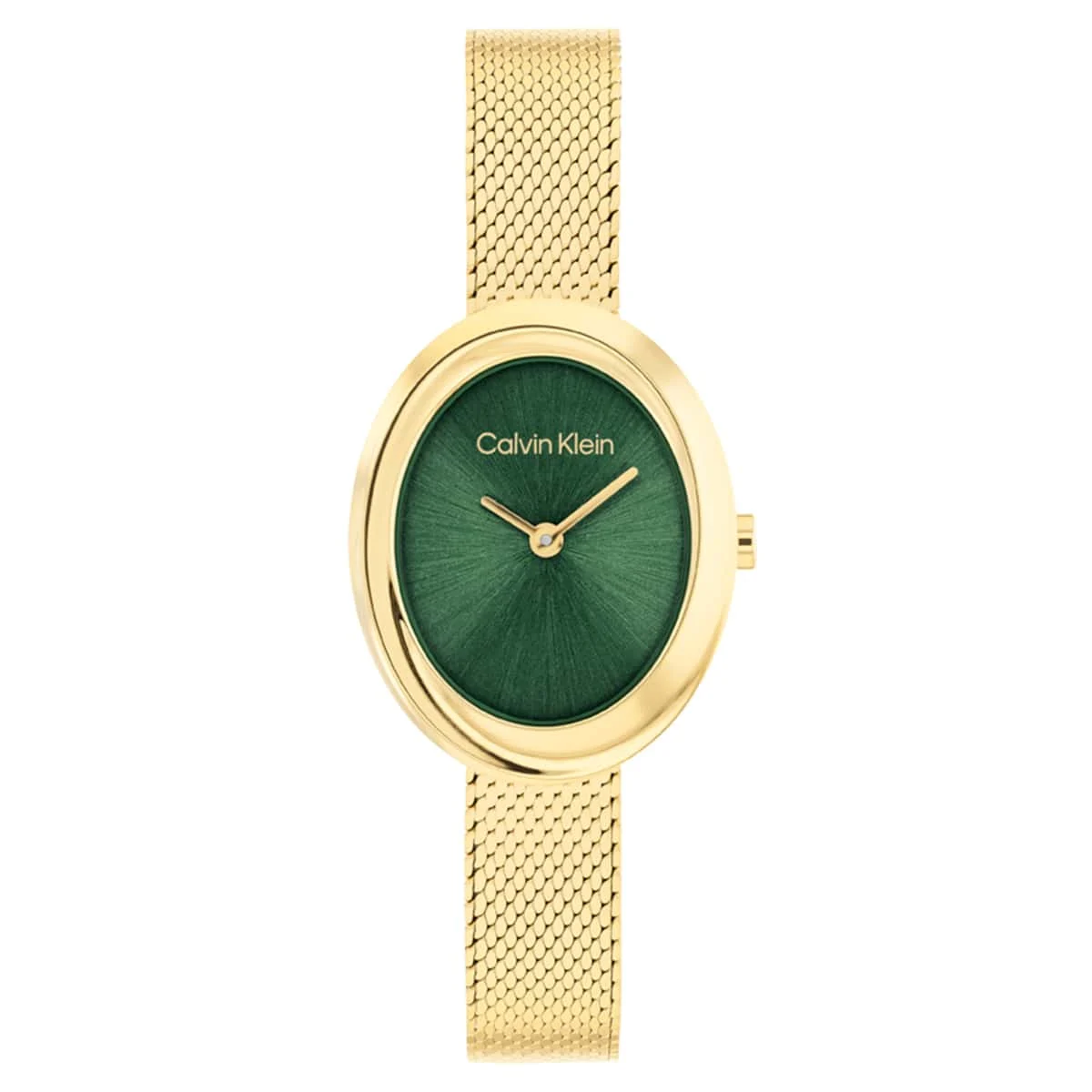 Calvin Klein Twisted Bezel CK25100152 24 mm kol saati