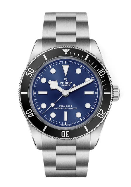 Tudor Black Bay 301752 kol saati