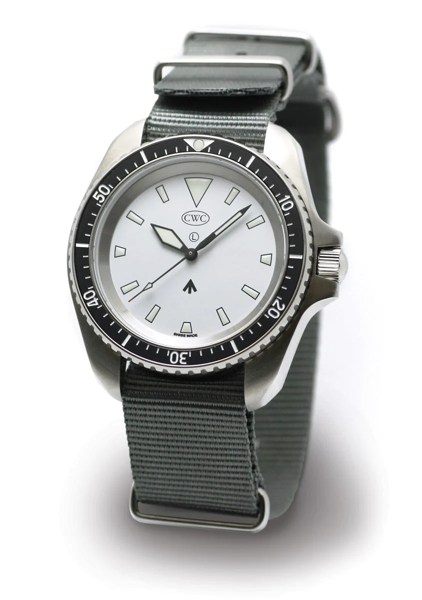 Cabot Watch Company Arctic Radar 74138 SLV 31 mm kol saati