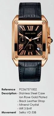 Pierre Cardin 067571002 (67571.1IR02 kol saati