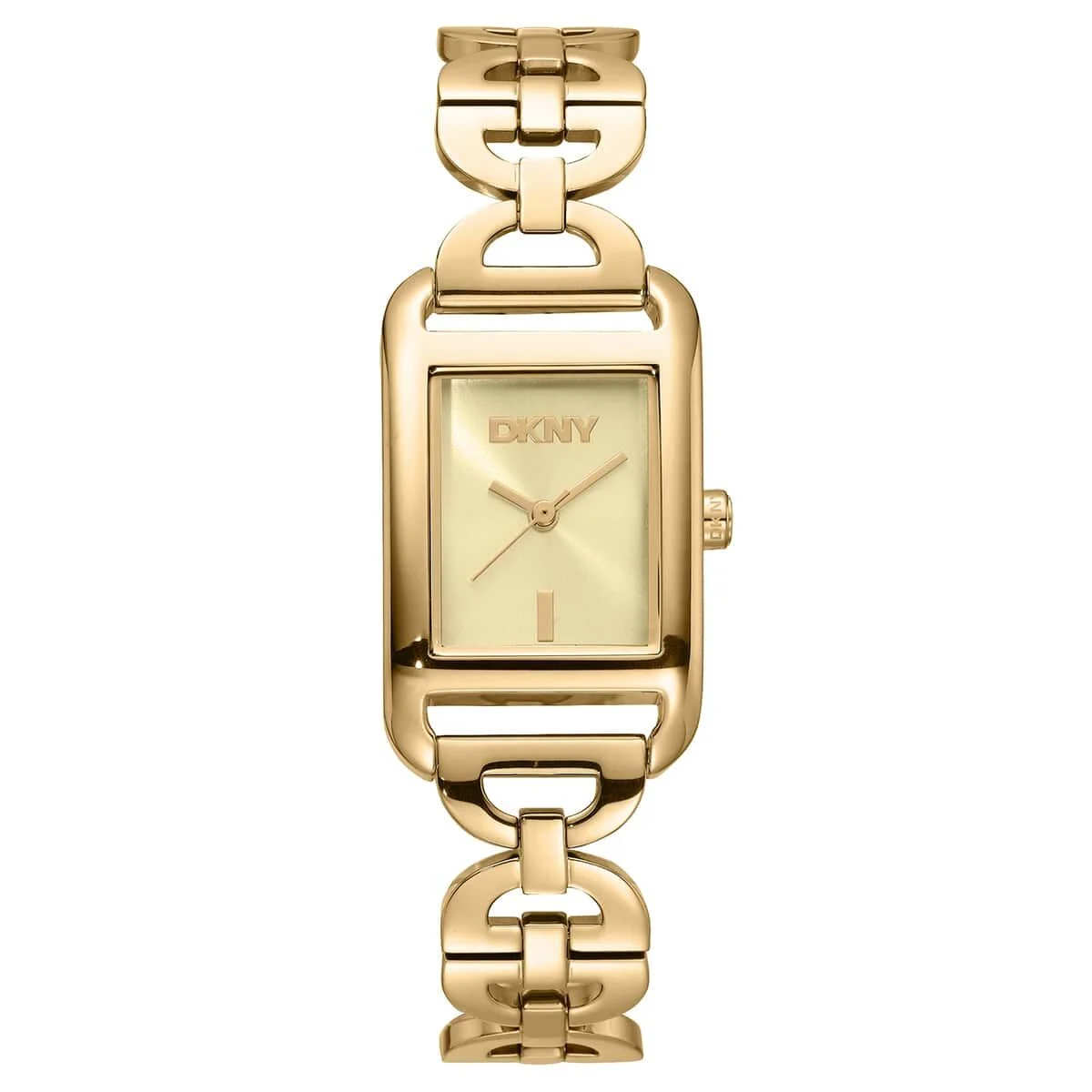 DKNY DK1L142M0235 21 mm kol saati