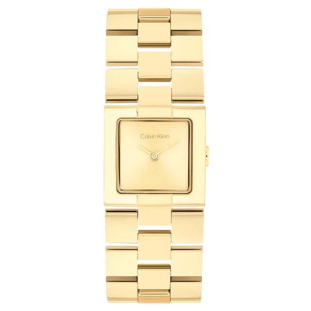 Calvin Klein CK Meridian CK25100089 kol saati