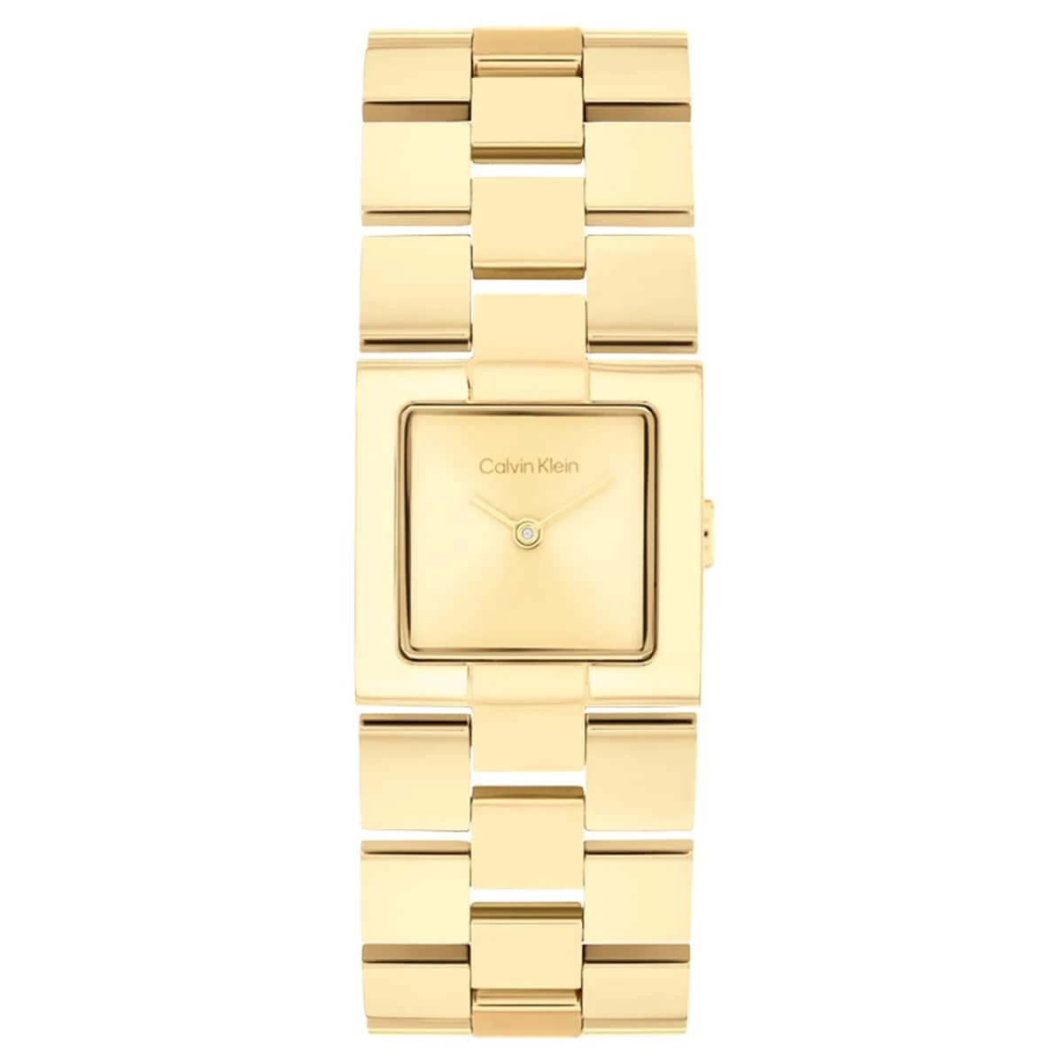 Calvin Klein CK Meridian CK25100089 22 mm kol saati