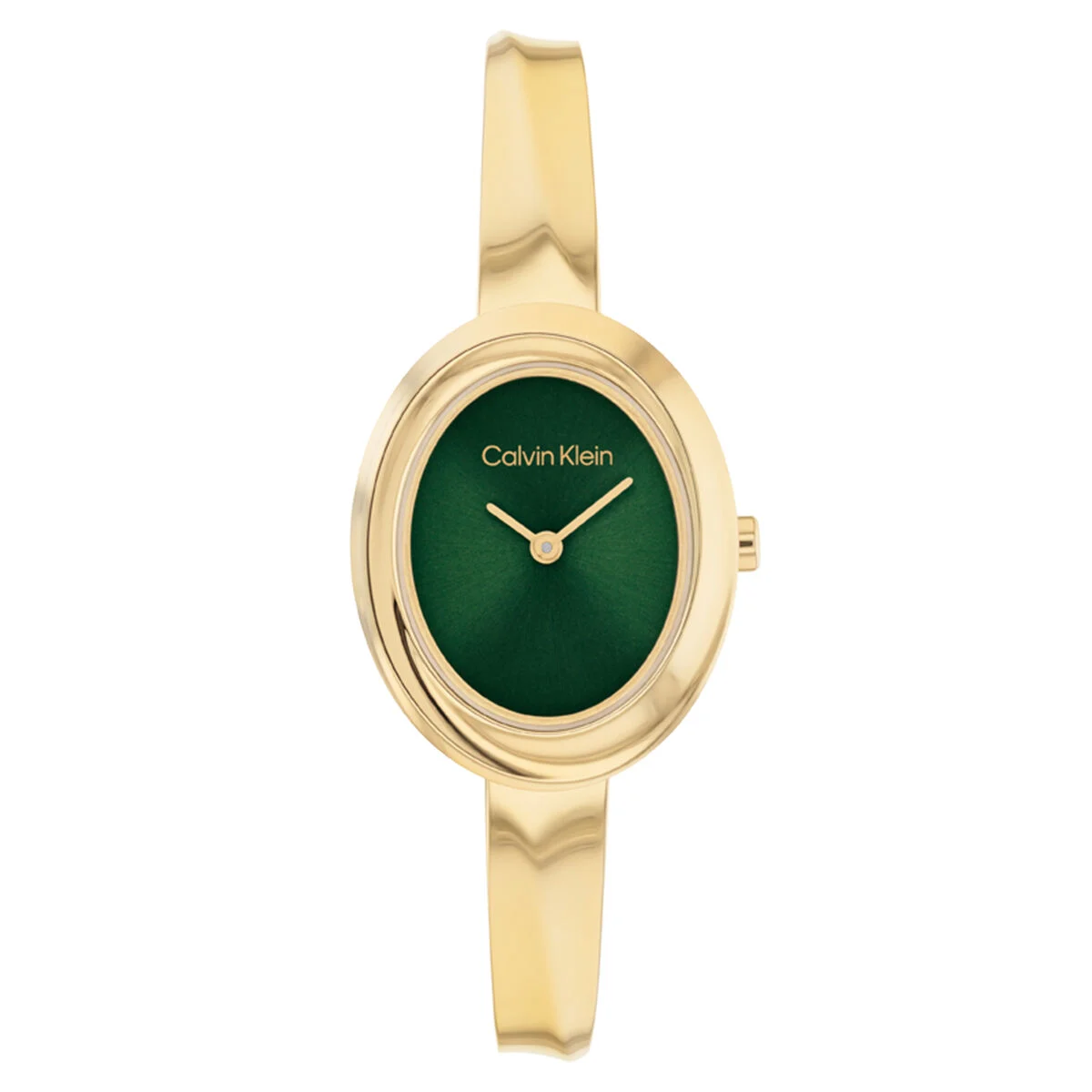Calvin Klein Twisted Bezel CK25100203 24 mm kol saati